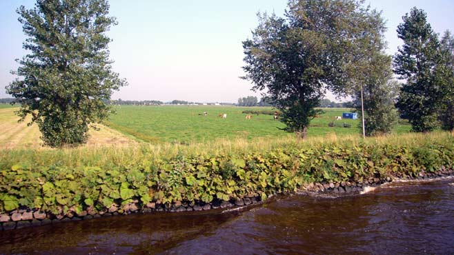 Weites Land